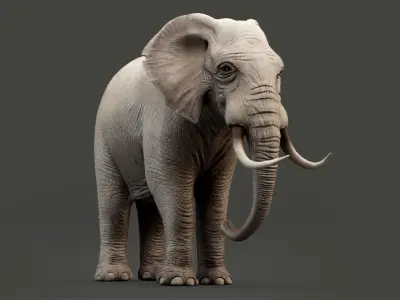Rigged Elephant model 8K Low-poly 3D model