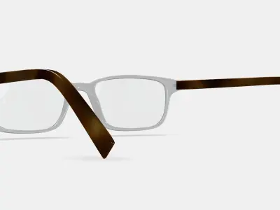 Brewster Eyeglasses in Woodgrain Tortoise 3D model
