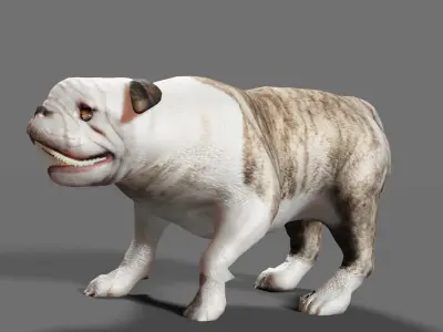 BULLDOG ANIMATED Low-poly 3D model