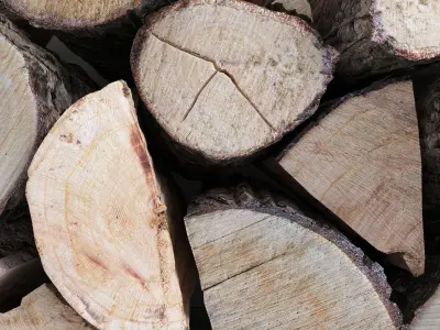 Decorative wall with fireplace set 15 3D model