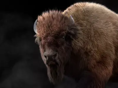 Bison Male Animated 3D model