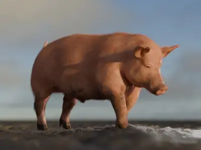 Pig Rigged and Animated 3D Model 3D model