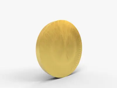 Ens Mirror Accessory 3D model