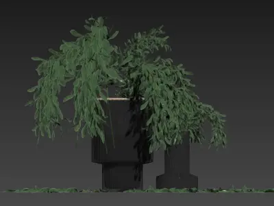 plant bouquet with vase  3D model