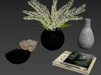 Decorative set three vases with plants and book 3D model