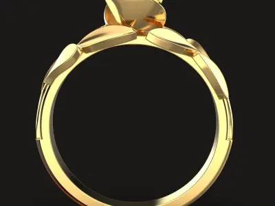  Ring Springtime 3D print model