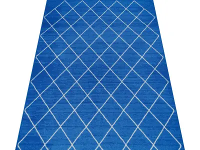 Rug Set 895 3D model