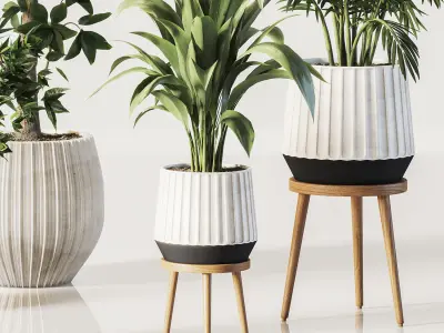  IndoorSetPlant058 3D model