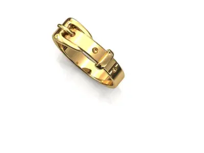 Belt Ring 3D  3D print model