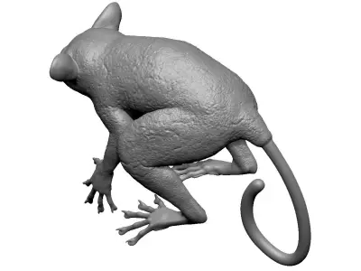 Tarsier Symmetrical 3D model