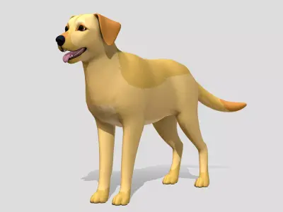 Cartoon Dog - Labrador Low-poly 3D model