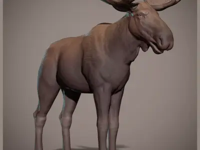 Moose low poly model Low-poly 3D model