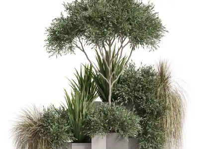 Plants collection 771 3D model