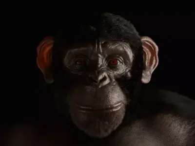 Realistic Ape  Rigged 3D Character For Blender Low-poly 3D model