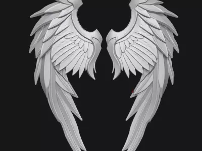 Wings 3D print model