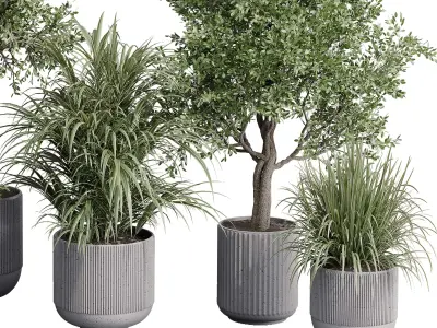 outdoor plant set 180 plant palm tree grass vase dirty concrete Low-poly 3D model