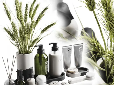 Bathroom Accessories 16 3D model