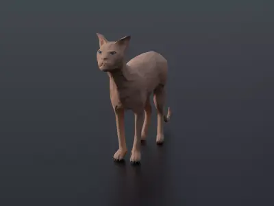 Sphynx Cat Low-poly 3D model