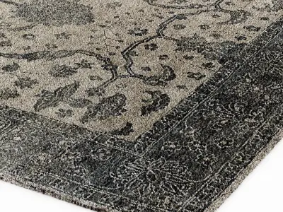 Restoration Hardware Hana rug 3D model