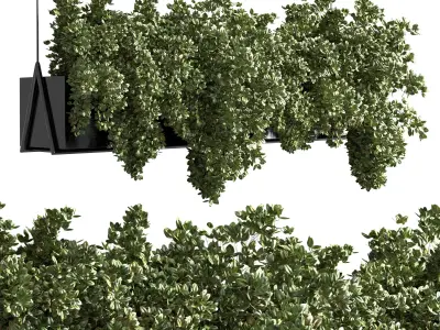 collection Indoor plants hanging pot metal bax vase 06 3D model