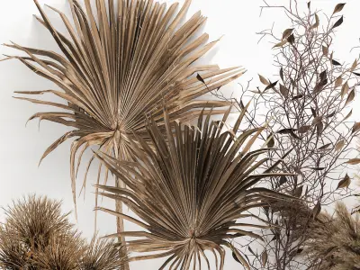 Bouquet collection of dried flowers in a vase 181 3D model