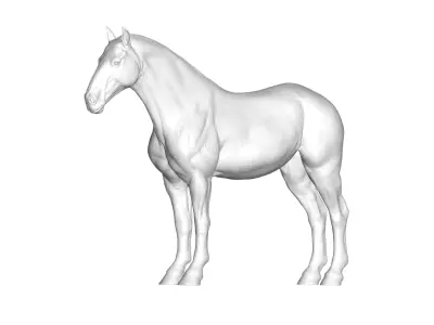 Horse  3D model