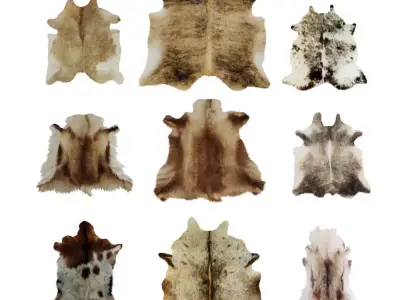 Nine Rugs From Animal Skins 10 3D model