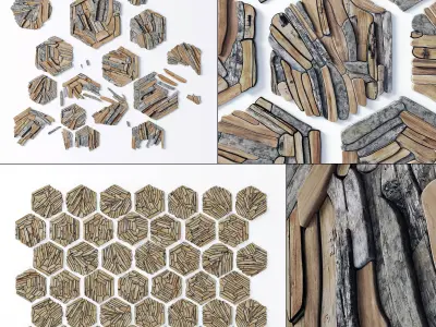 Hexagon panel branch splinter n4 3D model