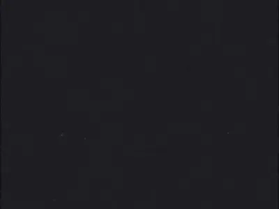 Realistic 3D Printed Chameleon Model on Branch 3D print model