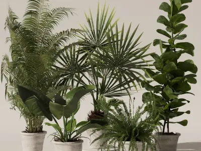Plants collection 139 3D model