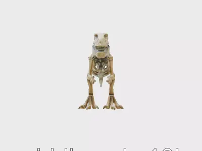 Tyrannosaurus Rex Skeleton Detailed Modeling Low-poly 3D model