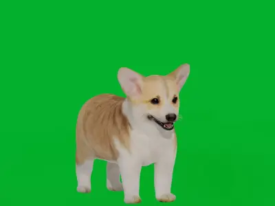 Pembroke Corgi Puppy Dog Low-poly 3D model