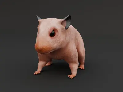 Realistic Hamster Low-poly 3D model