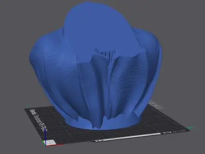 Cat - Maine Coon with Cape Bust Pedestal 3D print model