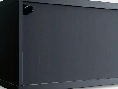 BESTA Shelf unit with glass door 5 3D model