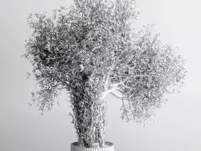 indoor plant 475 pot plant tree concrete dirt vase 3D model