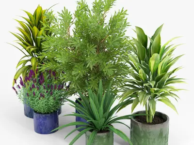 Maya Blue Ceramic Planters Maya Green Ceramic Planters 3D model