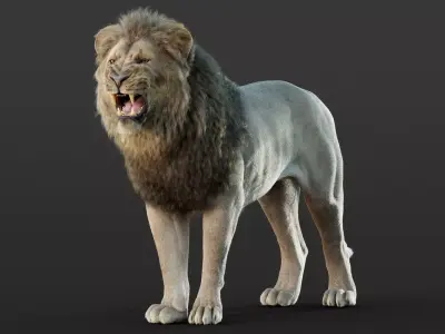 Lion 2025  RIG Maya -  Xgen-Core 3D model