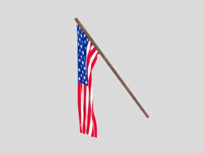Flag - Hanging Free 3D model