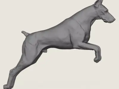 Doberman Dog Jumping 3D print model