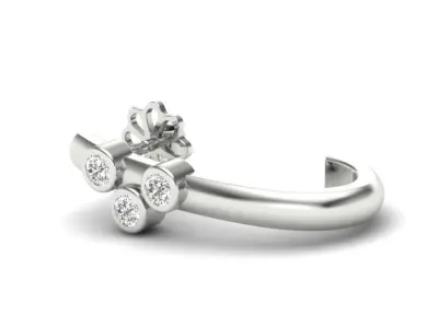 Jewelry Earrings  3D print model