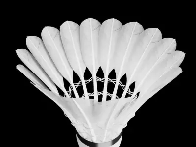 Shuttlecock Badminton 3d Model Low-poly 3D model