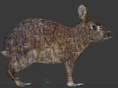 Rabbit Low-poly 3D model shop