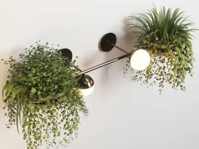wall light plant Indoor  outdoor plants stand pot 3D model