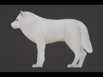 Arctic Wolf Low-poly 3D model