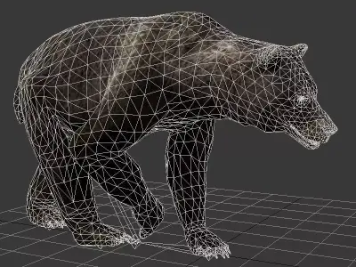 walking bear loop 3D model