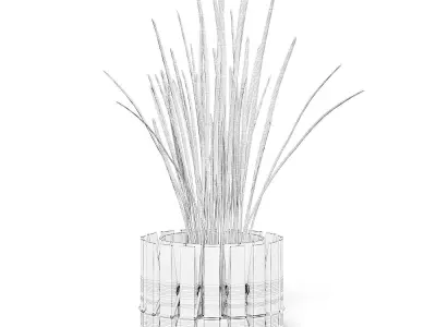 Plant 3D Model with Clothes Peg Pot 3D model