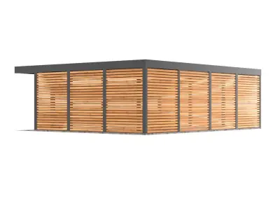 Canopy 010 3D model