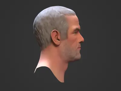 Favre Brett Low-poly 3D model
