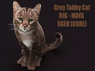 Cat Grey Tabby RIG  XGEN version 3D model
